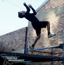 Image result for Extreme Adventures Parkour Club