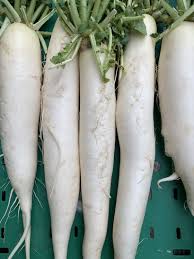 Image result for Rettich