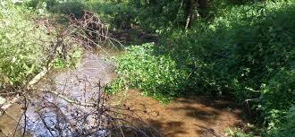 Image result for Snettisham Cc