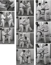 Image result for Goshin Ryu Atemi JuJitsu