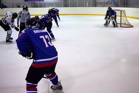 Image result for Streatham Night Wolves Ice Hockey Team