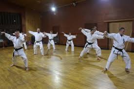 Image result for Edinburgh Karate do Shotokai