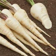 Image result for Pastinake