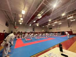 Image result for Awesome Martial Arts Training Center