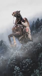 Image result for horse girl gun