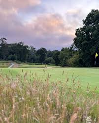 Image result for Brokenhurst Manor Golf Club