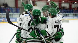 Image result for Basingstoke Bison Ice Hockey Club