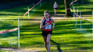 Image result for Ipswich Harriers