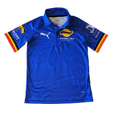 Image result for Pumas Netball Club