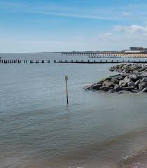 Image result for Lowestoft Rowing Club