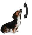 HumaneWatch Blog