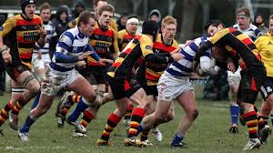 Image result for Tynedale Rfc