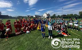 Image result for Edinburgh University Shinty Club