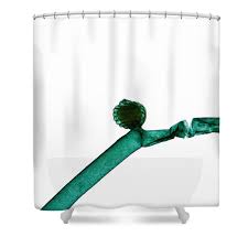 Attēlu rezultāti vaicājumam “Nitella sp.”