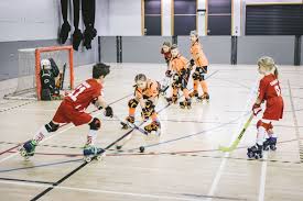 Image result for Sheffield Hockey Club
