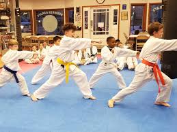 Image result for Bushin Kenpo Kai Schools