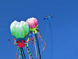 Image result for Poole Kite Fliers