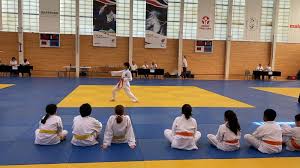 Image result for Kenshukai Karate