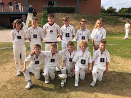 Image result for Louth Cricket Club