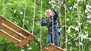 Image result for The Go Ape Experience (Delamere Forest)