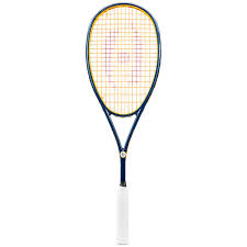 Image result for Malvern Squash Rackets Club