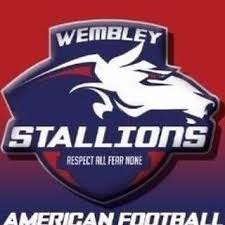 Image result for Staffordshire Stallions