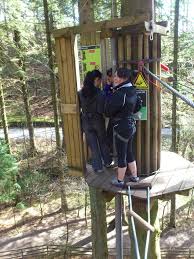 Image result for Go Ape! Whinlatter