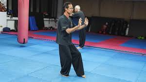 Image result for BARNET and WHETSTONE CHANGQUAN FLYING DRAGON