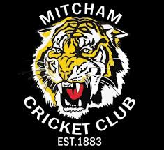 Image result for Messingham Cricket Club