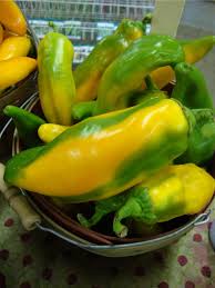 Afbeeldingsresultaat voor marconi golden sweet pepper