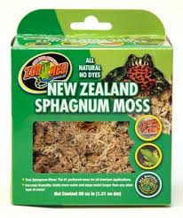 Attēlu rezultāti vaicājumam “Sphagnum”