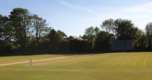 Image result for Buscot Park Cricket Club