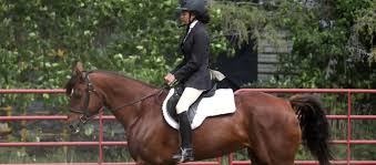 Image result for Elstead Riding Club