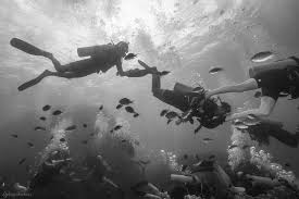 Image result for Scuba Fun