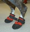 American Boxer Club: Dealing with Degenerative Myelopathy in Boxers