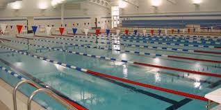Image result for Grimsby Penguins Swimming Club