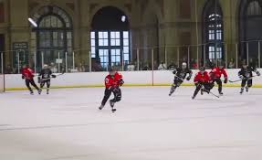 Image result for Basingstoke Buffalo