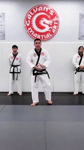 Image result for Tae-jitsu