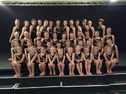 Image result for North Devon Display Gymnastics Club