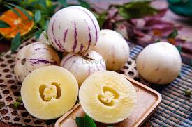 Attēlu rezultāti vaicājumam “Herminium monorchis fruit”