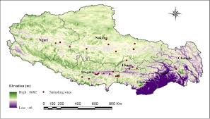 Attēlu rezultāti vaicājumam “Didymodon rigidulus”