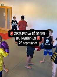 Image result for Vipers Thai/Kickboxing School