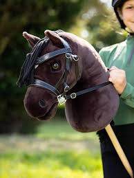 Image result for Ayr Riding Club