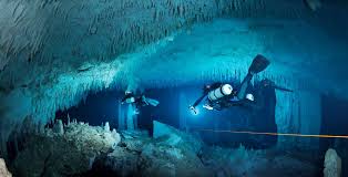 Image result for innerspace divers