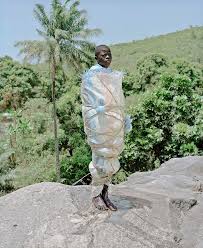 Attēlu rezultāti vaicājumam “Lycogala confusum young”