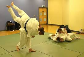 Image result for Tora-Kai Judo