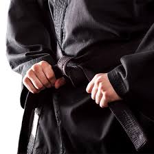 Image result for Mushin Kempo Jiu Jitsu Club