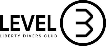 Image result for 3D Diving Club