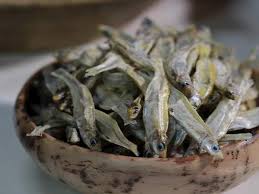 Attēlu rezultāti vaicājumam “Charales”