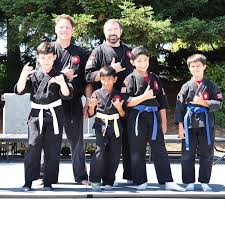 Image result for Martial Art Centre of Excellence